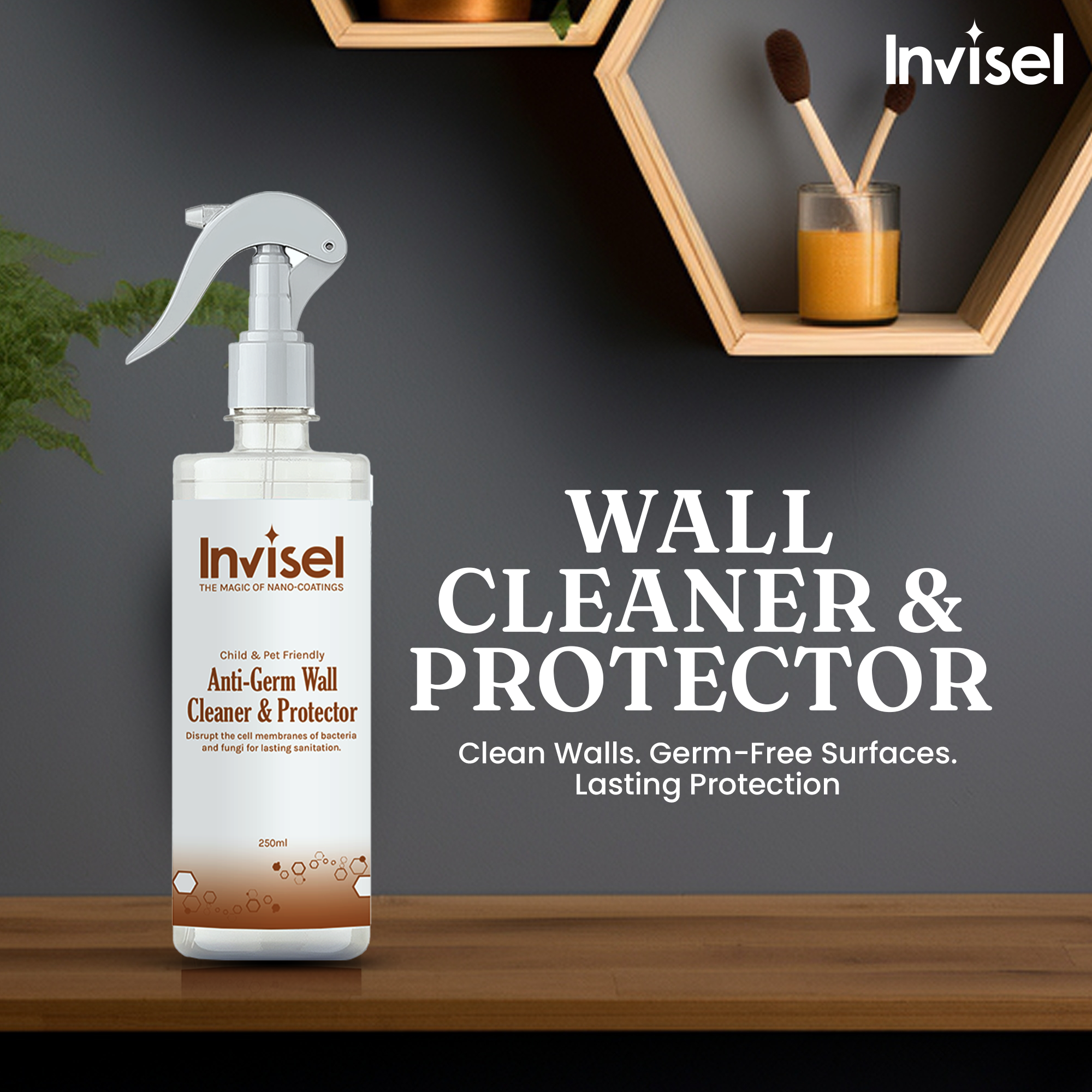 Invisel wall cleaner and protector