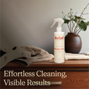 Multi-Surface Cleaner